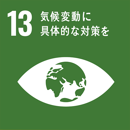 sdgs icon